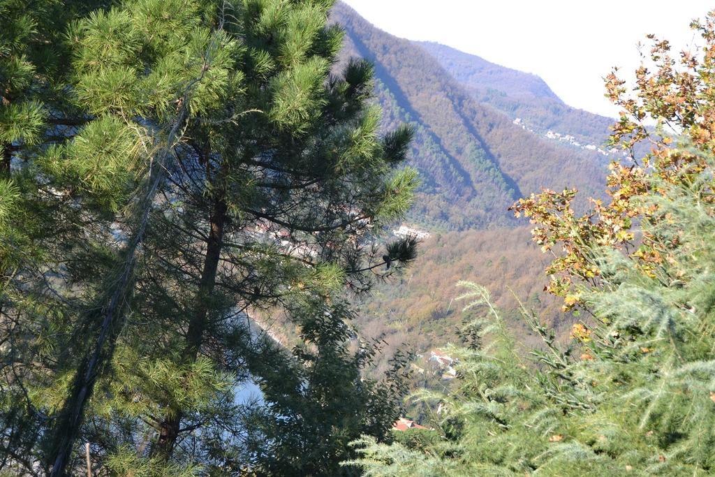 Toscana Nord Ovest - Tra La Costa Apartments Albiano Magra Bagian luar foto