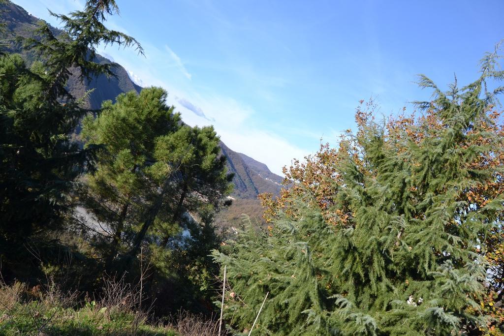 Toscana Nord Ovest - Tra La Costa Apartments Albiano Magra Bagian luar foto